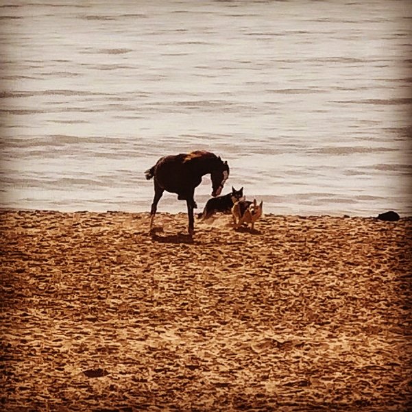 Bonjour _Beyrouth. Liban. #فوق_18