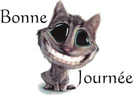 @CapriceEnVie @BruceWayne055 @stephan_199 @FrederickPonsot @champ_sur @JirosLaurent @Mouettemoqueuse @Shrekette2 Bonjour la Team #BrasCassés bonne journée à tous 
   et #OnLacheRien ok