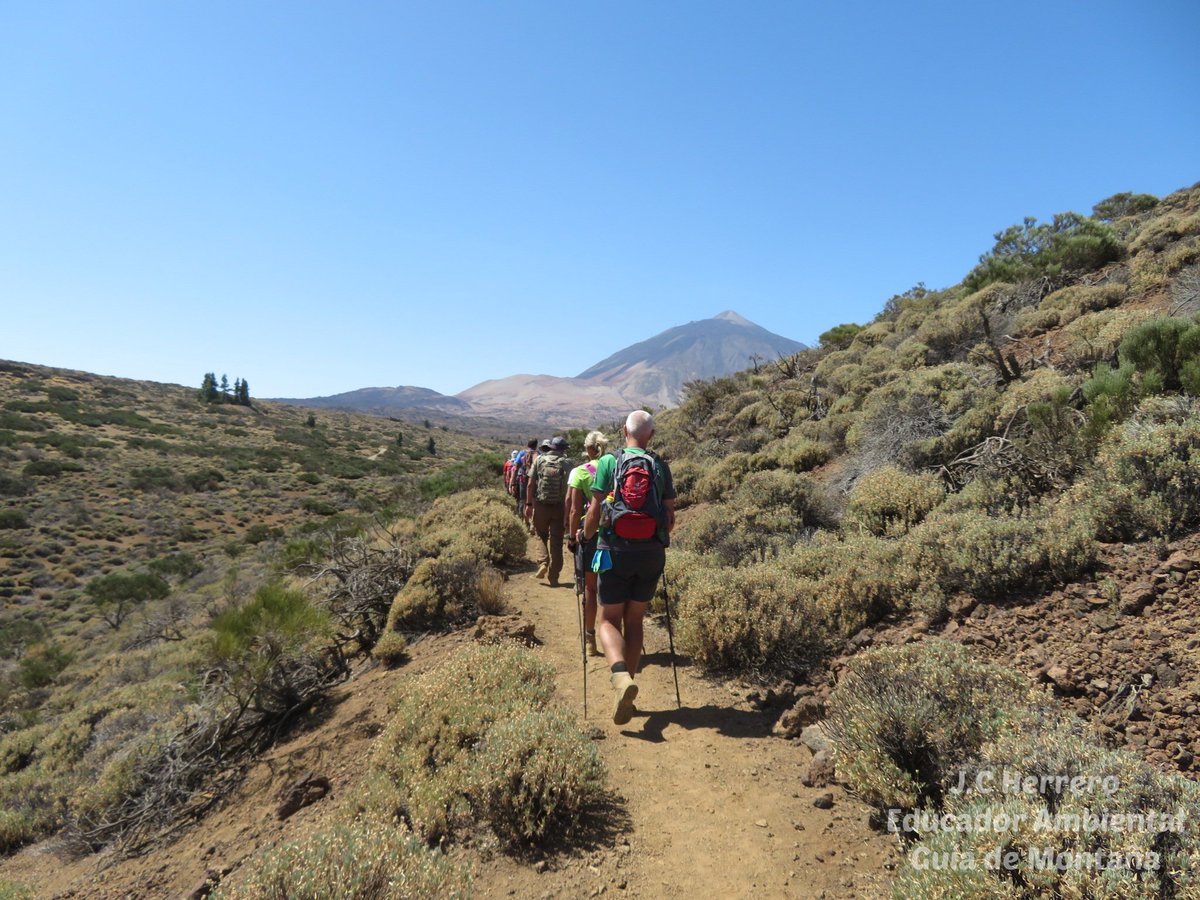 Un sendero es el trazado más seguro ⚠️ en el Medio Natural, al transitar por un sendero 👣🥾🎒 salvaguardas tú seguridad y preservas/conservas la biodiversidad cercana 🐦🌱🌸

👉 Cuidemos nuestro Patrimonio Natural 👈

#EducadorAmbiental #GuíadeMontaña  #ParqueNacionaldelTeide