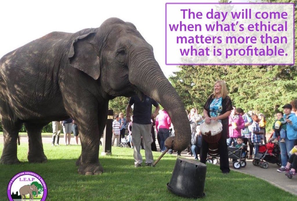 The practices necessary to control 🐘when they are in close interaction with people highlight how inadequate a life in #Yegzoo is. Captivity for 🐘is inherently cruel & leads to suffering throughout their long lives. Why can’t you 👀#YegZoo is killing Lucy @AmarjeetSohiYEG 📸leap