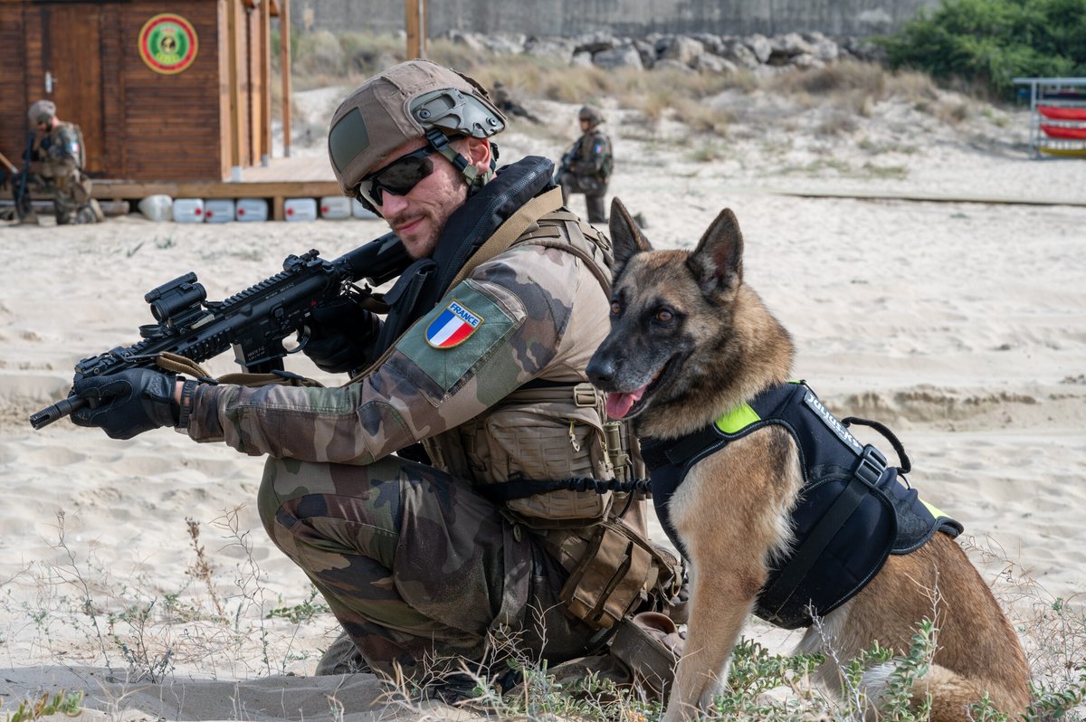 Mais à quoi donc ce chien de notre équipe cyno pense-t-il ? 🤔 Un indice : 🍗 #JeudiPhoto 📸 Victoria CHANTRIAUX / Marine Nationale / Défense