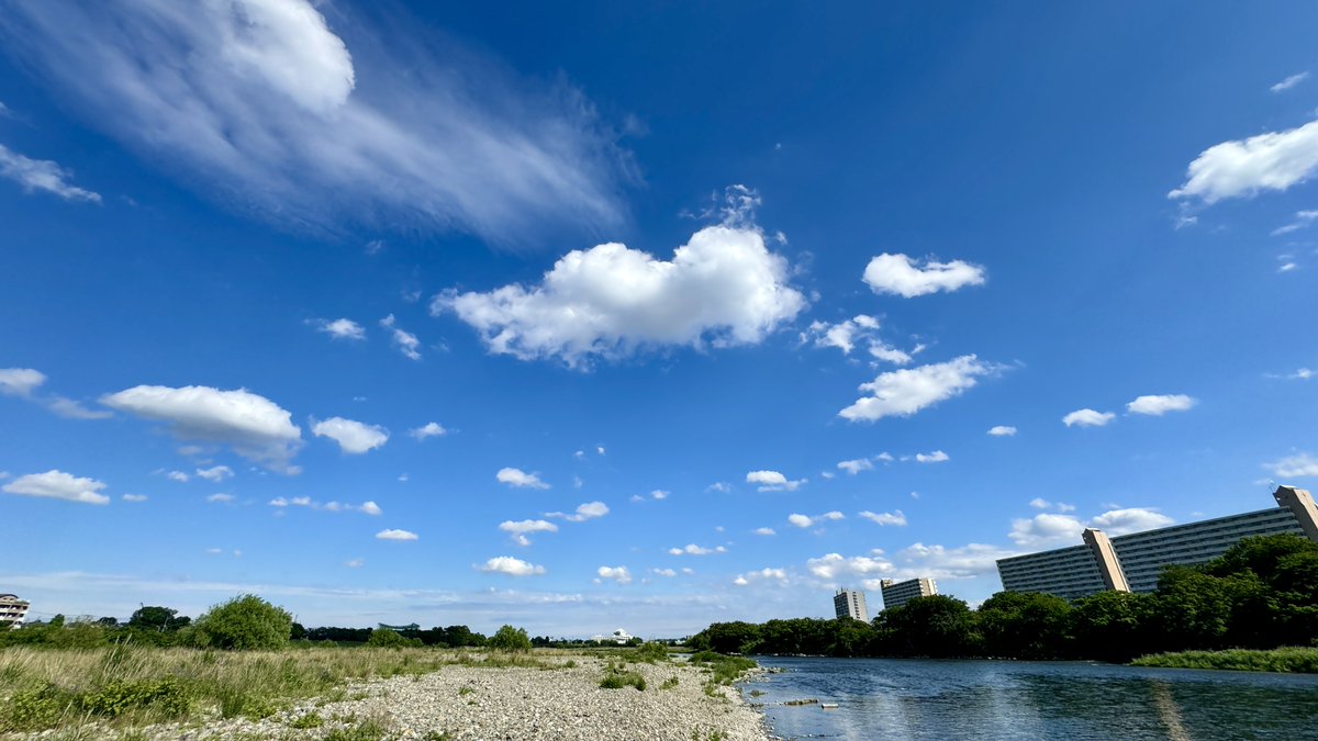 空が青〜い！雲が白〜い！！ 嬉しい〜☺️ #狛江こまえ