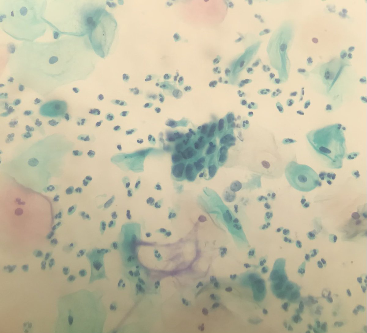 Mahabub Alam tweet media