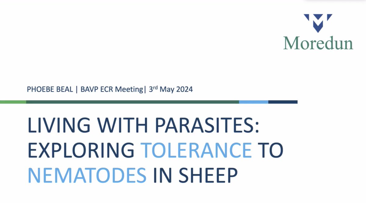 🏆BAVP ECR Winner of Best Research Presentation 🏆

Pheobe Beal -  Living with parasites: tolerance to nematodes in sheep 🐑🥳

#BAVPECR24 <a href="/MoredunComms/">The Moredun Foundation</a>