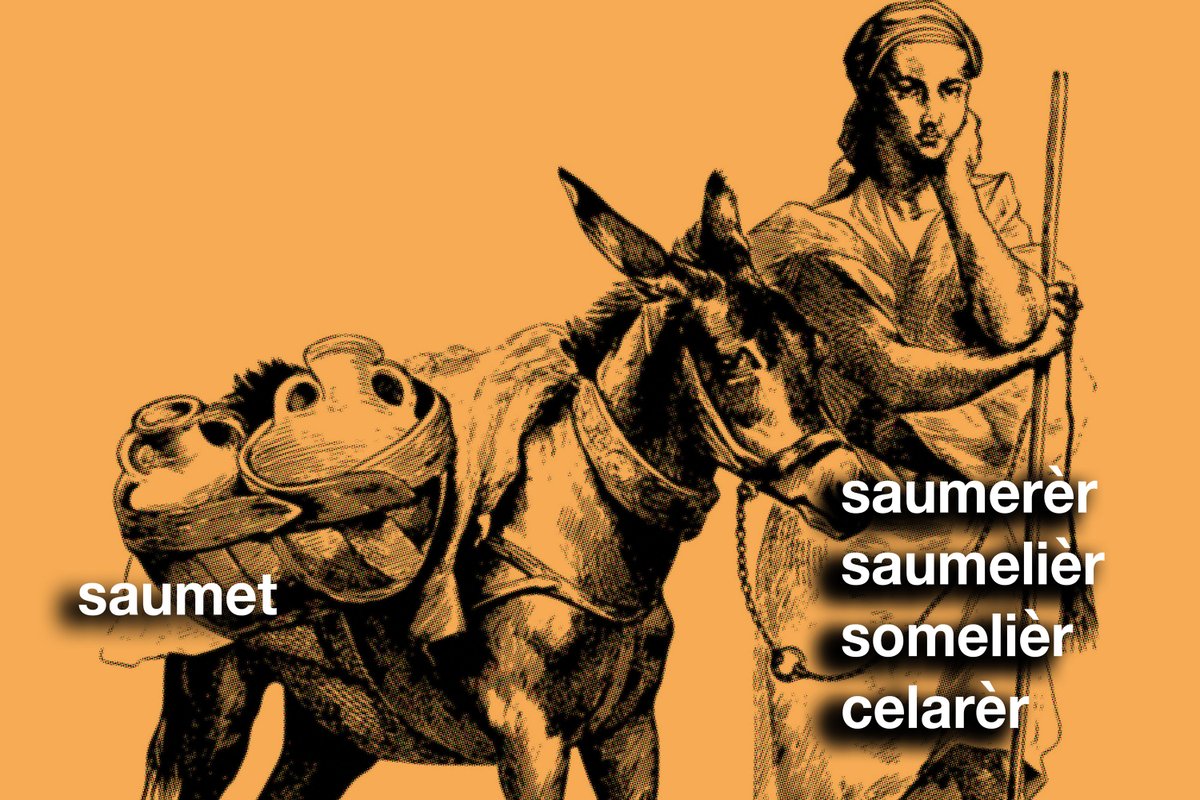 🤔 Sabíetz qu'eth mot 'somelièr' que definís es expèrts en vin ven deth mot occitan 'saumet'? 🍷🐴 👉 Anticament eth vin se transportaue en saumets, e ath delà se sauvaue enes cerèrs a on tanplan s'i estacauen es saumets