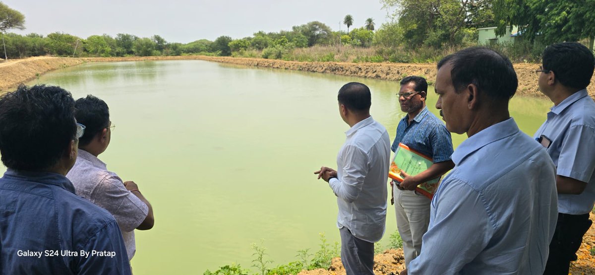 farddepartment's tweet photo. Shri Kulange Vijay Amruta, IAS, Director of Fisheries on a visit to the Govt. Fish Farm, #Subarnapur. Accompanied by AFOs. Important discussions and inspections were conducted to ensure optimal farm operations and quality #fishseed production.🐟
#Earlybreeding https://t.co/7by2zKqpLx