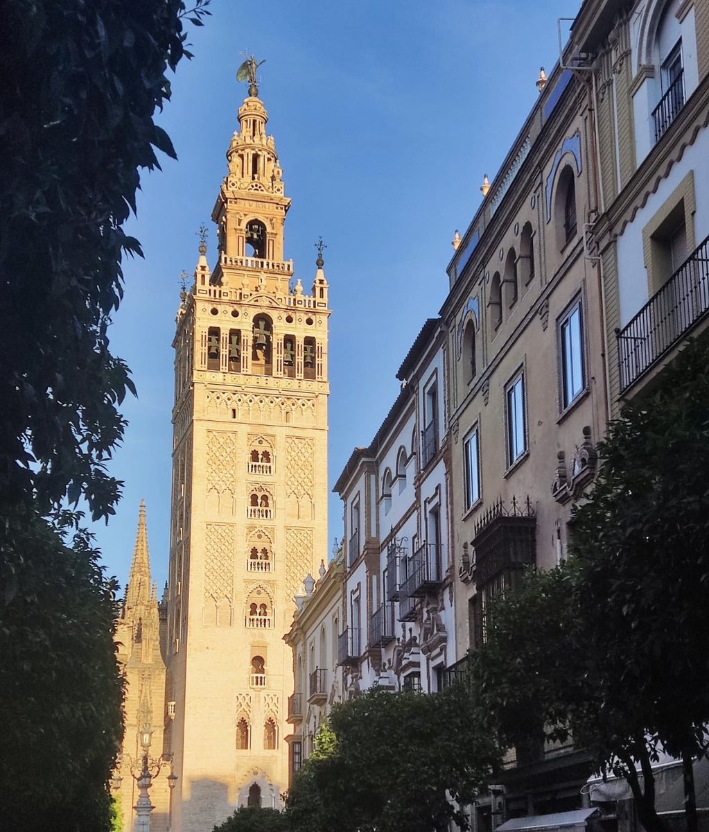 🗣️ Hi #hepatologist! Today we talk about #MPP in #hepatology in one of the most beautiful cities in the world 💃 💻 If you are not lucky enough to be here, you can follow it on-line 👉 aeeh.es/microsite/jorn…