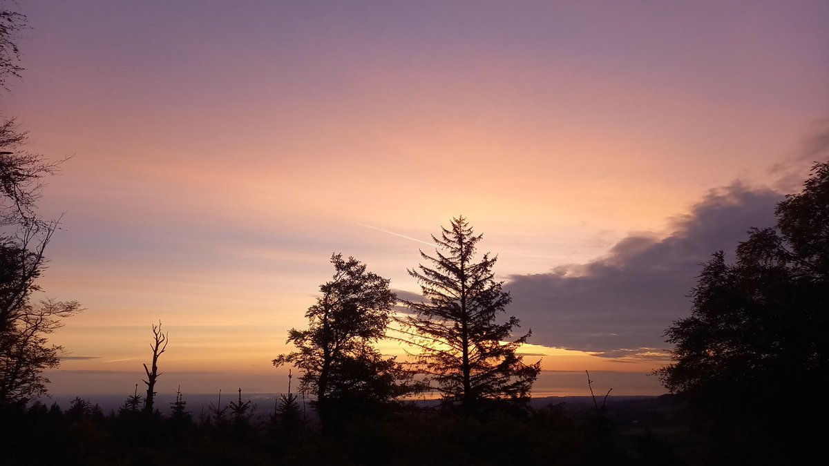 Early morning colours ✨️ #ThursdayMotivation #sunrise #goodmorning #Dublin @ThePhotoHour