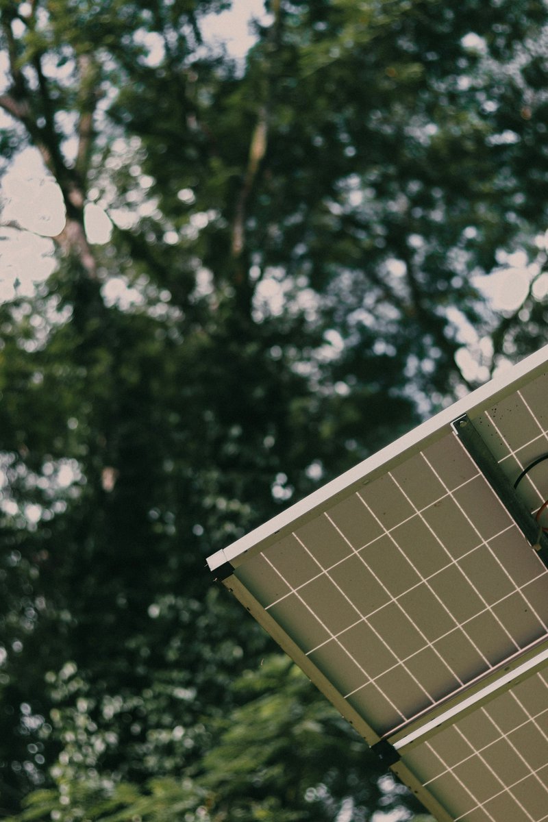 Embrace the beauty of photovoltaic panels 🌞 against a backdrop of lush greenery, surrounded by mesmerizing bokeh. Experience the harmony of technology and nature, illuminating your world with sustainable energy. #Photovoltaic #Greenery #SustainableEnergy