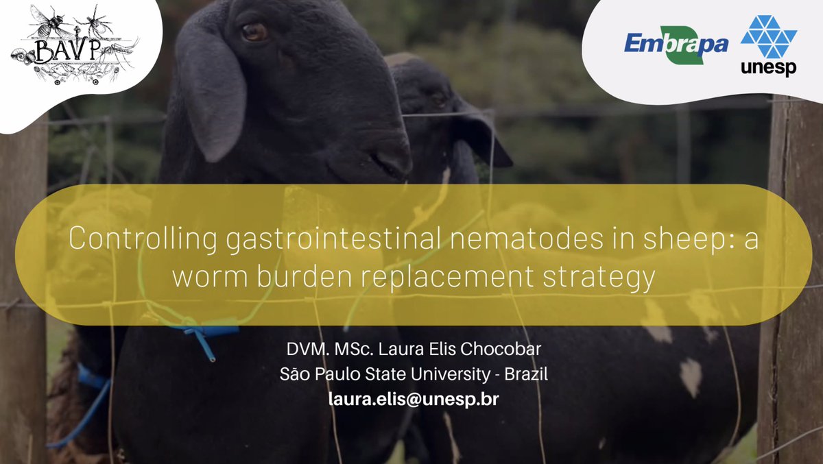 🏆BAVP ECR Runner Up for Best Research Presentation 🏆

Marianna Laura Elis Chocobar -  Controlling gastrointestinal nematodes in sheep: a worm burden replacement strategy 🐑🥳

#BAVPECR24