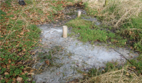 The EPA reports that 576 septic tanks have not been fixed two years after failing local authority inspection. Where faulty septic tanks are not being fixed, local authorities need to use their enforcement powers to protect the environment and public health.bit.ly/4dxiRMP