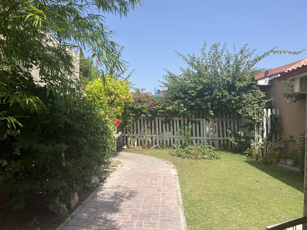 Good morning greetings from a baking hot Dubai. Grandkids up at dawn! School run done. Me and Marie been pruning roses and cutting back bushes. Big pile to go. Going to the Mall before kids pick up. Swimming and pirates after school! Have a good day xxx