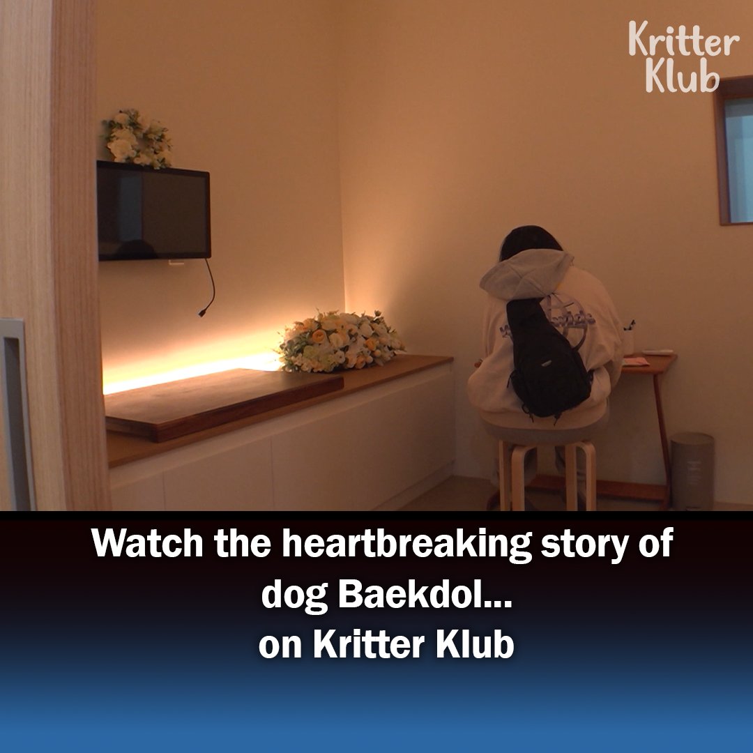 Puppy With Megaoesophagus Sees Guardian For The Last Time... l Animal in Crisis Ep 413 #kritterklub 

Full Video👉 youtu.be/WOttswPlrkI

Follow @Kritter_Klub

to brighten up your feed with daily animal videos📷 #animalvideos #animallover #animal #dog #rescuedog #puppies #puppy