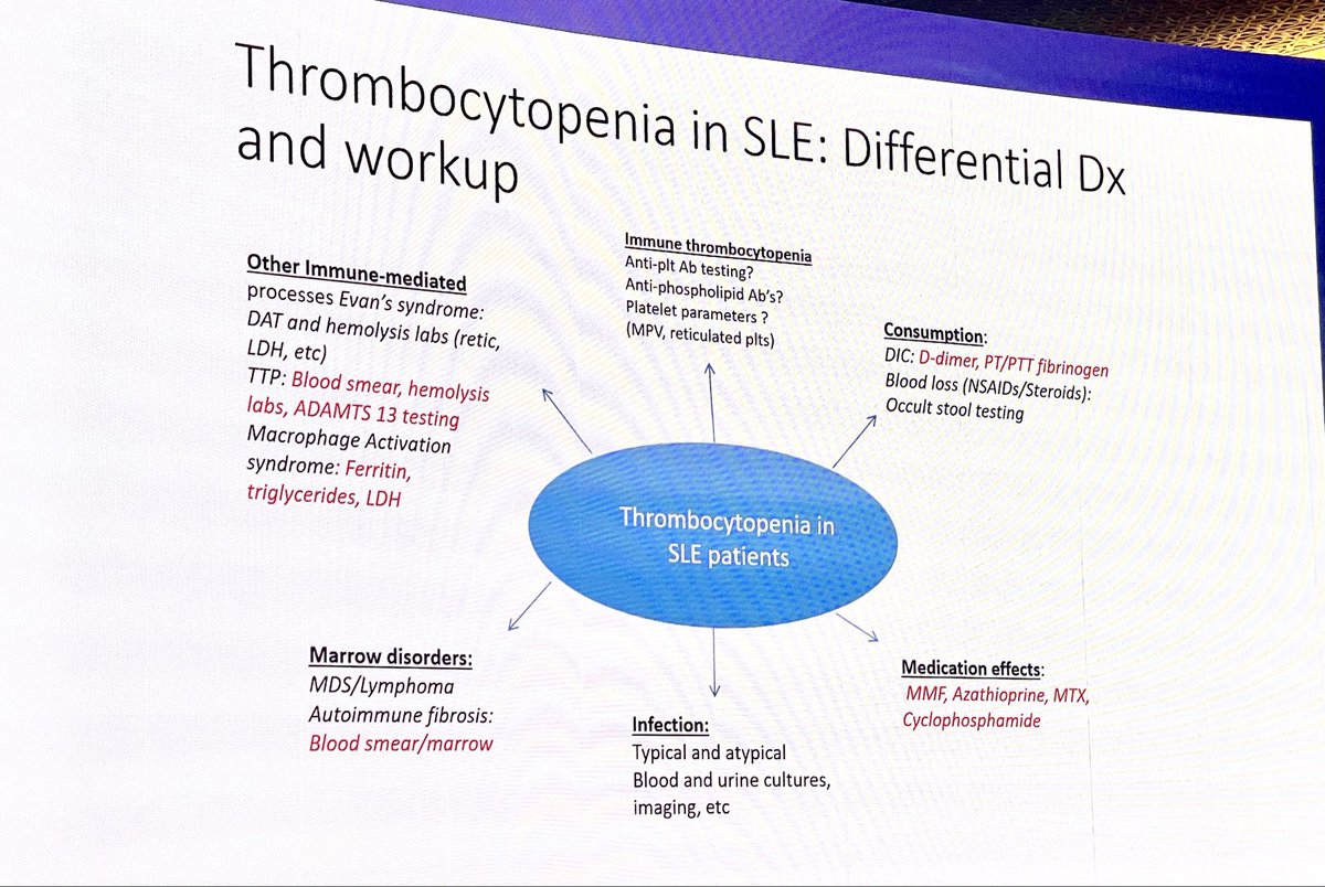 #thrombocytopenia #Lupus