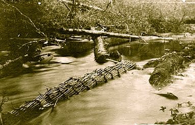 Picture of the wood #fishtrap at Muckleshoot Auburn, Washington in 1923. The trap is located in bottleneck made by logs placed in the river to funnel the fish in 3 meter long basket. Originally the area was home to #firstnations of #Skopamish, #Smalhkamish & #Stkamish tribes.1/2
