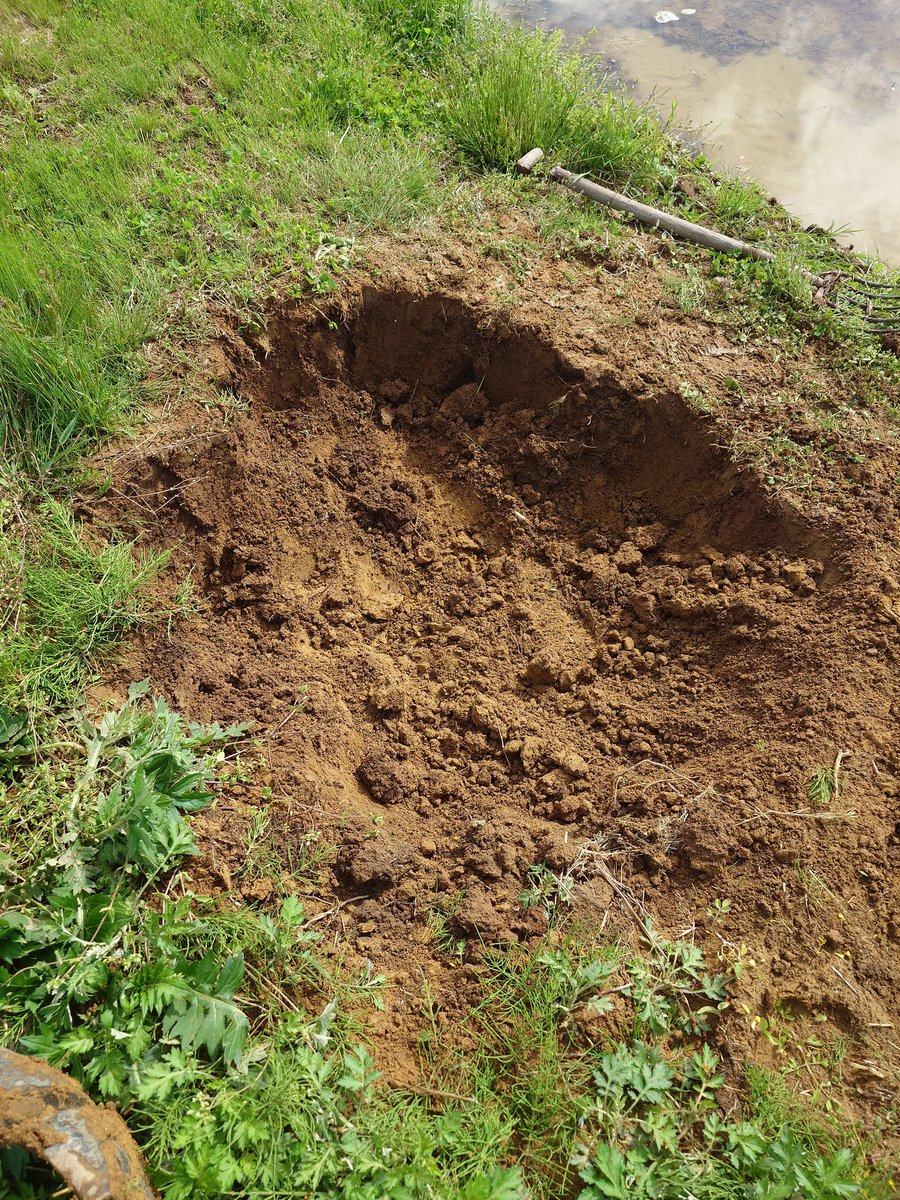 田んぼに水を入れ始めたら穴が空くのはなんで？

応急処置で土盛り👷‍♂
CMで劇団ひとりの掘ってる柴犬のプールくらいの穴掘りました😇