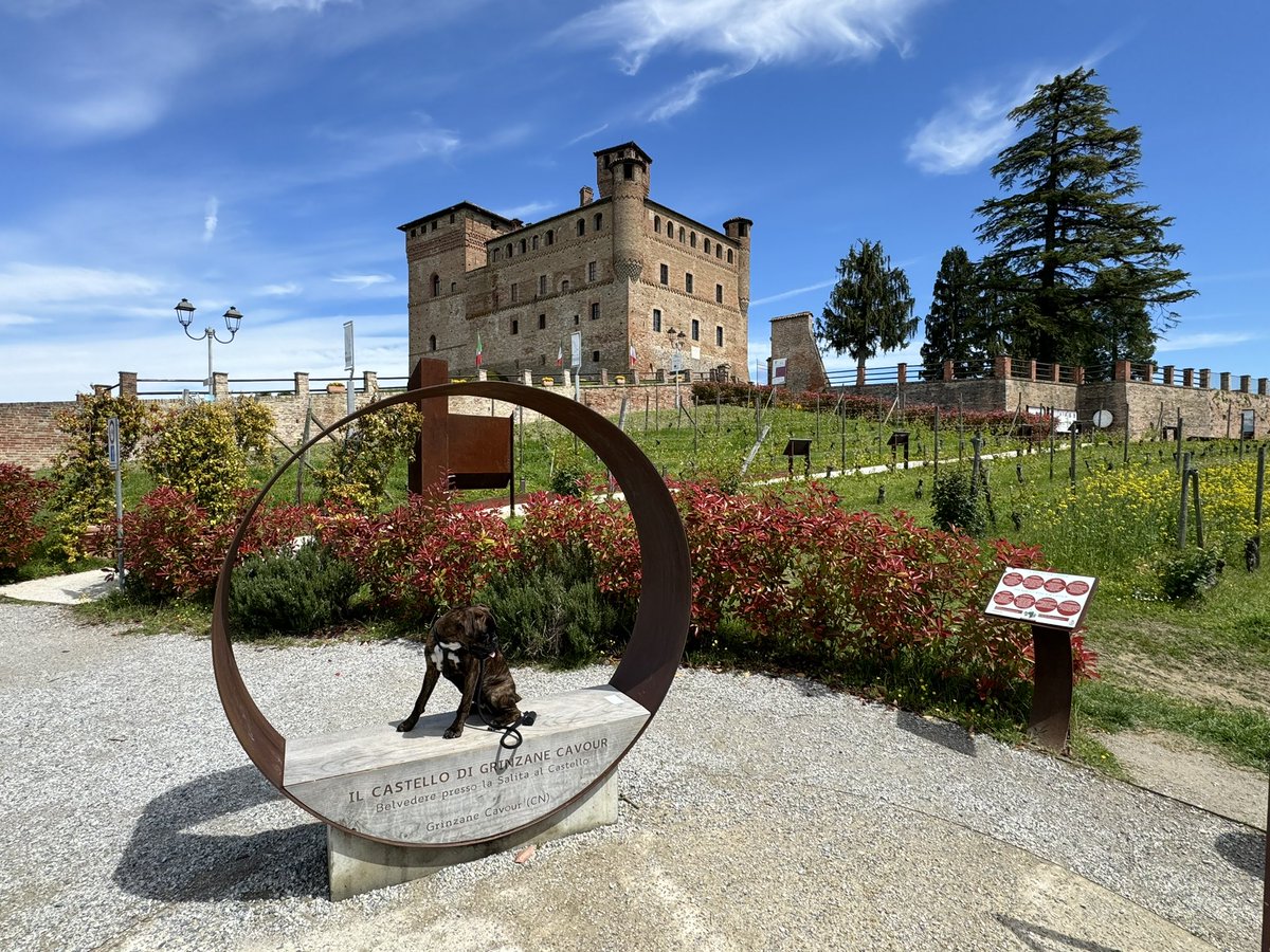 Il maestoso Castello di Grinzane Cavour si erge sopra le morbide colline delle Langhe, una sentinella di pietra e storia che domina l'orizzonte circostante con la sua bellezza senza tempo #blogger #piemonte #Travel