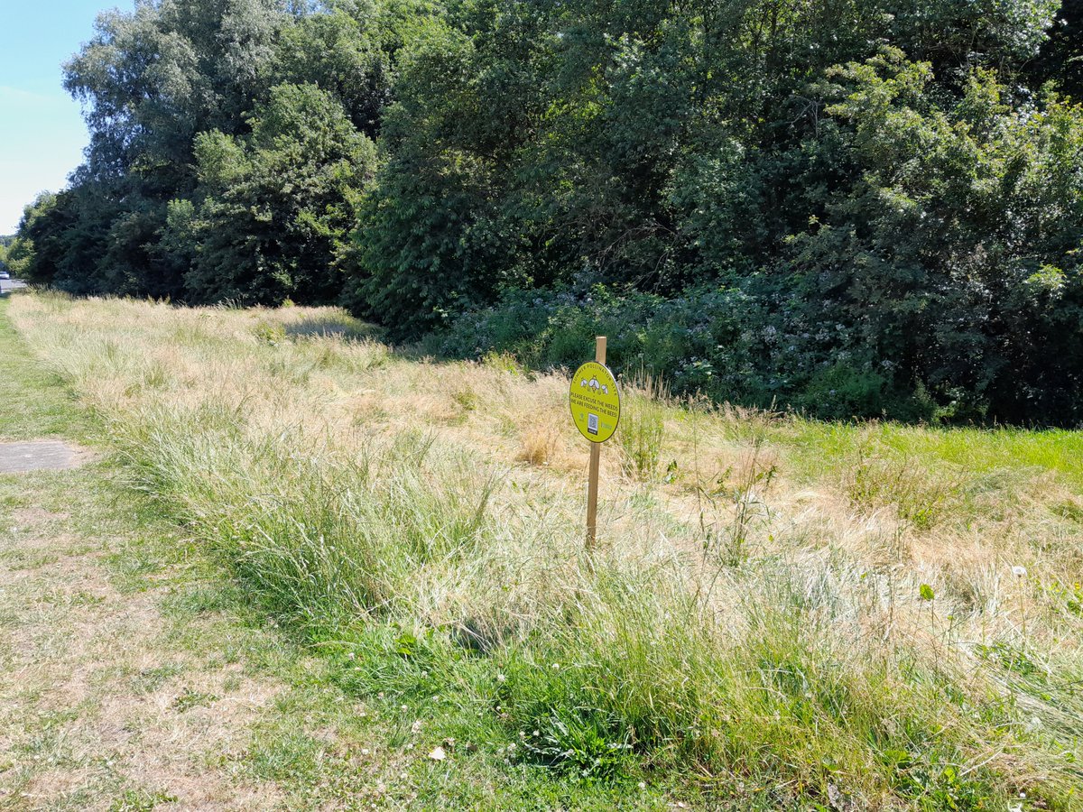No Mow May encourages us to leave lawns and greenspaces unmown in May, to allow wildflowers to begin to grow. Our latest blog details how Rushcliffe Borough Council are taking this one step further with their Summer Pollinator Scheme. nottsbag.org.uk/2024/05/09/no-…