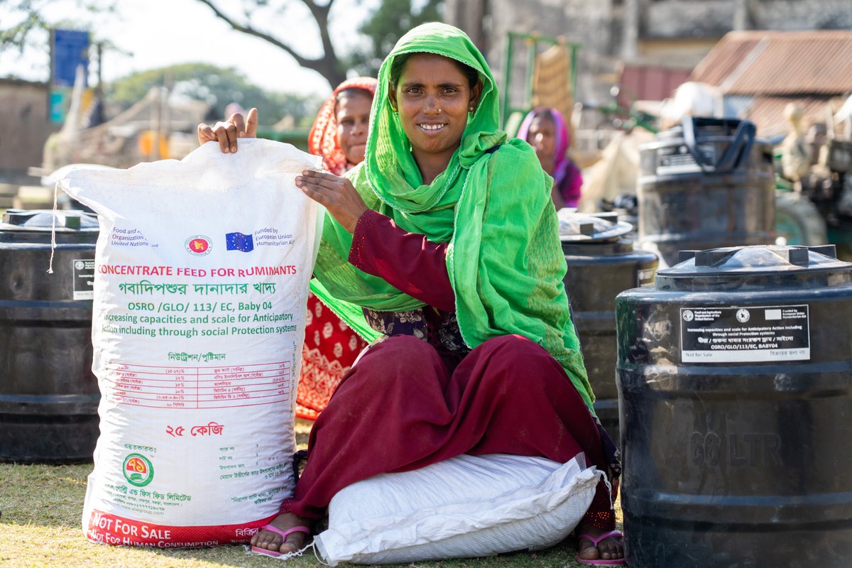 🇪🇺Thanks to invaluable support of the @eu_echo, FAO's initiatives help vulnerable farmers in 🇧🇩! Providing 👇 🐐 lifesaving livestock feed 📦grain storage silos 💶 cash to vulnerable farmers in Haor regions. Happy #EuropeDay2024 🇪🇺