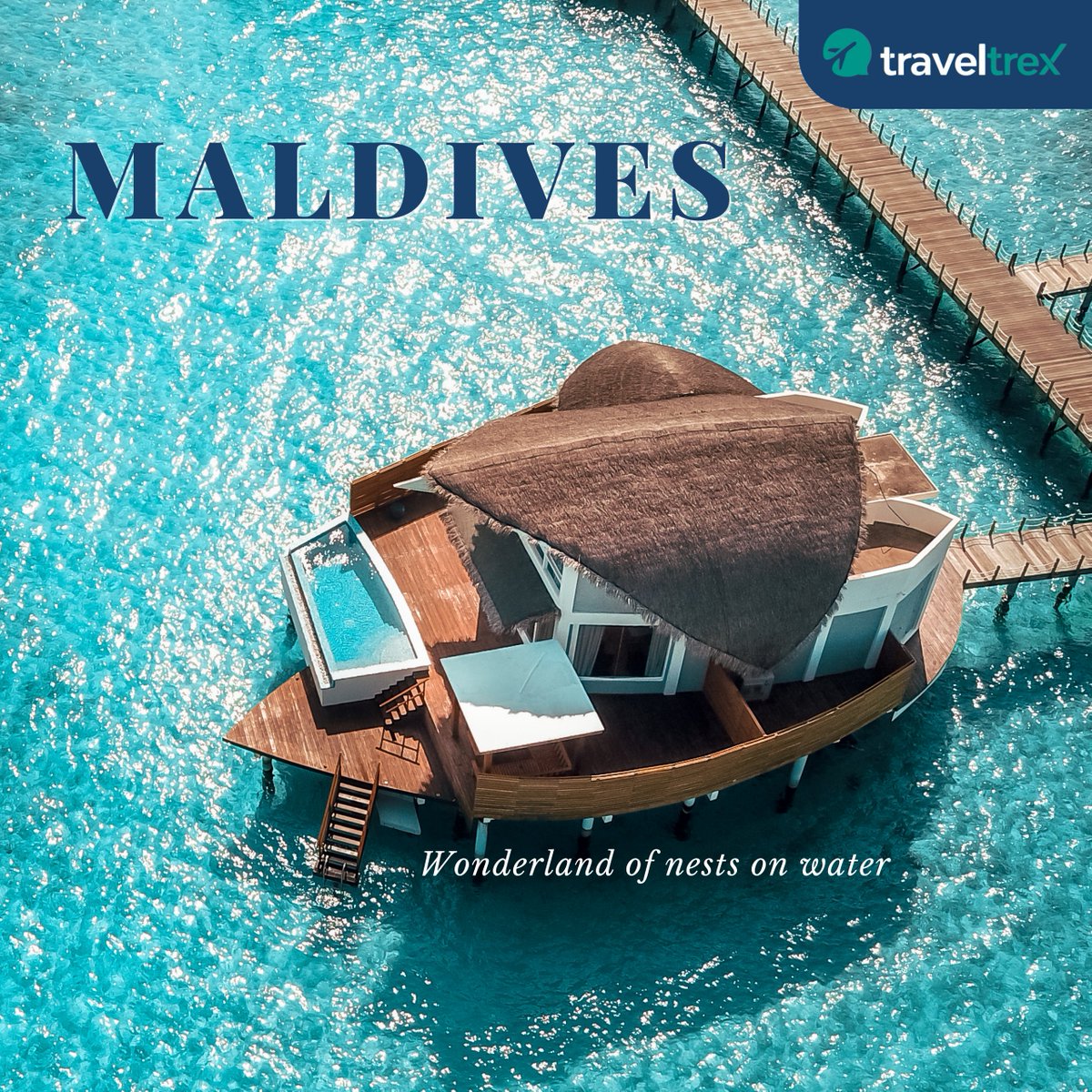 Calling all ocean lovers! 🇲🇻 5 MALDIVES must-do's:
#traveltrex #travelwithtraveltrex #adventurecalling #travelgoals #timetoexplore #adventureawaits #trending #tourism #adventureenthusiasts #besttoursandtravels  #traveltips #customtravel #travelgram #Wanderlust