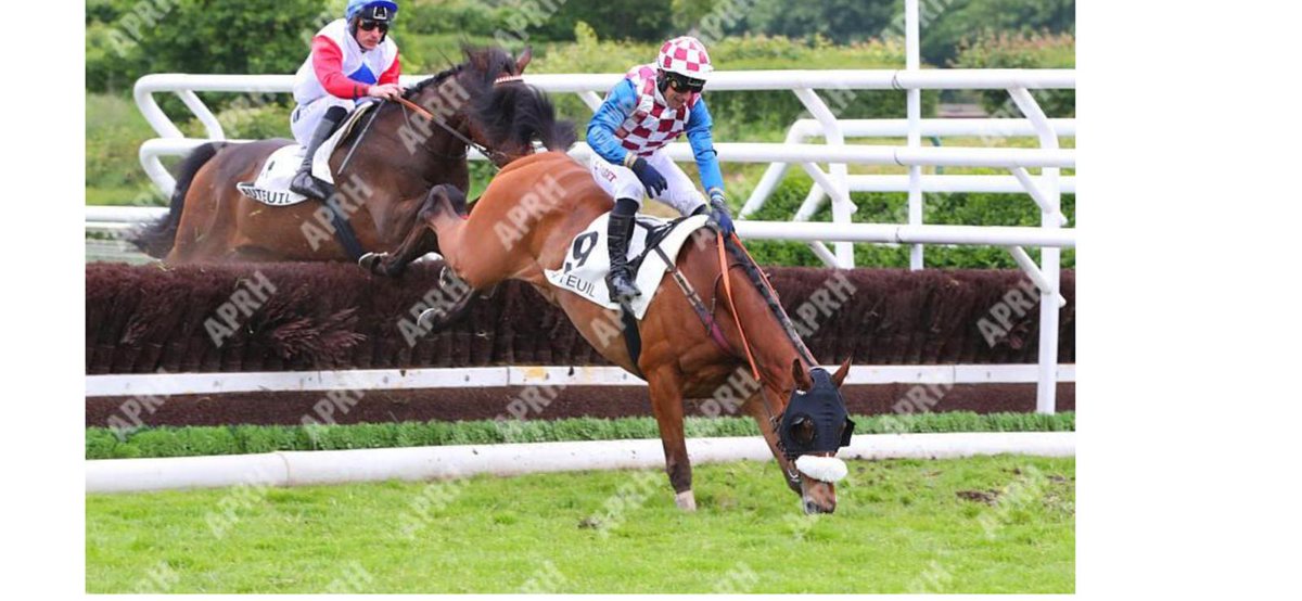 In a race full of drama Inzeo Du Gouet managed to get out of trouble as quickly as he got into it @Hippo_Auteuil, going so well he thought he could stop for a peck of grass at the last! Another solid run for @Theclaiminglads @sutto821 @JamesFGun now grossing over 45k in 3 starts