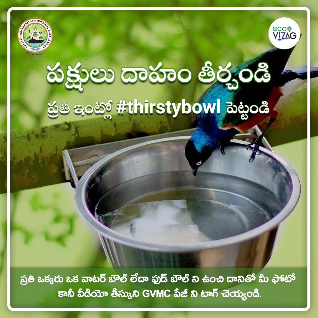🐦💧 Introducing Thirsty Bowl: Help us keep our avian friends hydrated this summer! Set up a water bowl in your backyard or balcony, and let's make sure no bird goes thirsty in the heat. Snap a pic or video of your #ThirstyBowl in action and add to your story by tagging GVMC…