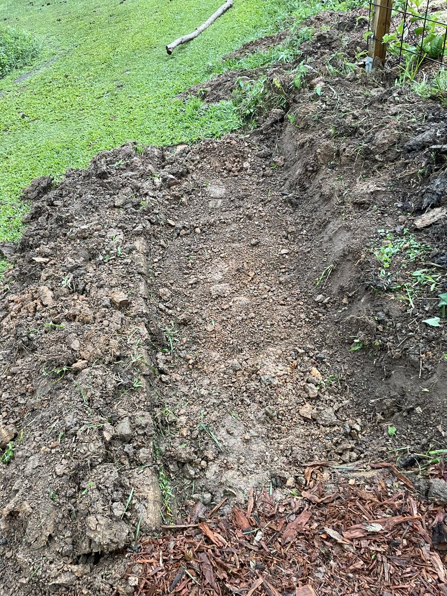 Started digging out the second swale/pathway down from the passion fruit trellis. The grade of the land gets steeper now so the swale needs to be deep on the top side and the berm on the low side has to be higher to contain the water. Rain interrupted my progress today but at…