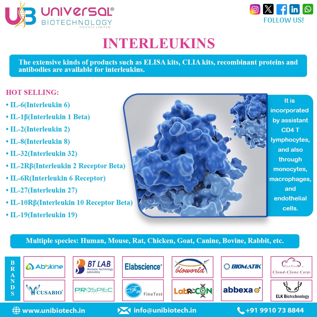 Explore Interleukins: Key cytokines shaping the immune system. From IL-6 to IL-32, these proteins play vital roles in immune response and cell differentiation. Dive into a world of research tools—ELISA kits, recombinant proteins, and antibodies—to unravel their mysteries.