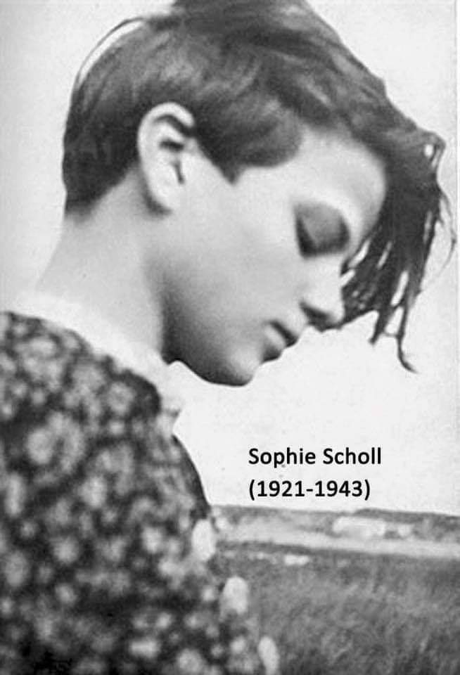 Na današnji dan, 1921. je rođena Sofi Šol, članica organizacije “Bela ruža”, simbol otpora nacističkom režimu. Posle akcije deljenja letaka na minhenskom Univerzitetu je uhapšena zajedno sa bratom i ubrzo posle toga streljana. Imala je samo 22 godine🌹