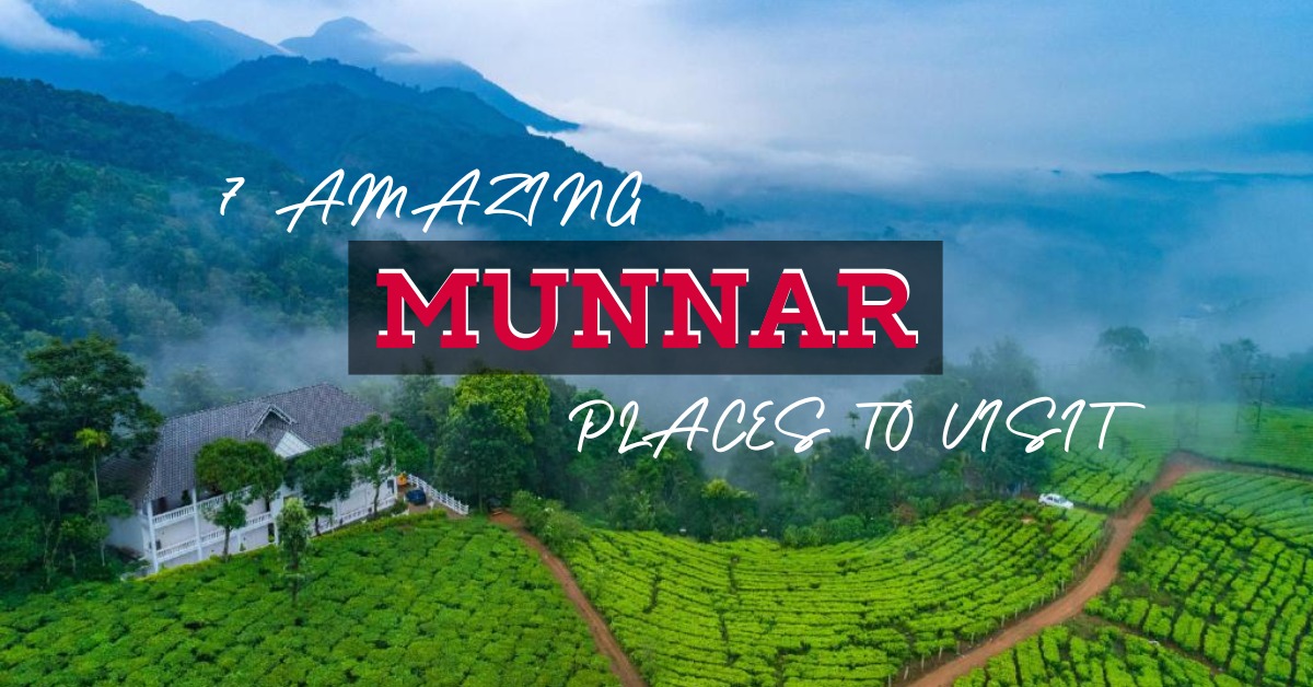 Click below to read more.👇
myblogpod.com/munnar-places-…
.
.
.
#IncredibleIndia #indiabestplaces #IndiaTourism #Kerala #keralatourism #keralavisit #Munnar #Munnarplaces #munnarplacestovisit #summerholiday #summervacation #visitindia #myblogpod #myblog