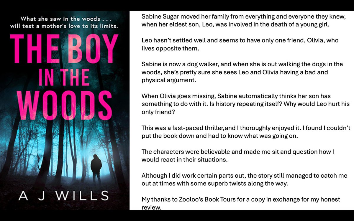 Today is my turn on @ZooloosBT for The Boy in the Woods by A J Wills.                    #BookReviews #PsychologicalThriller #TheBoyInTheWoods