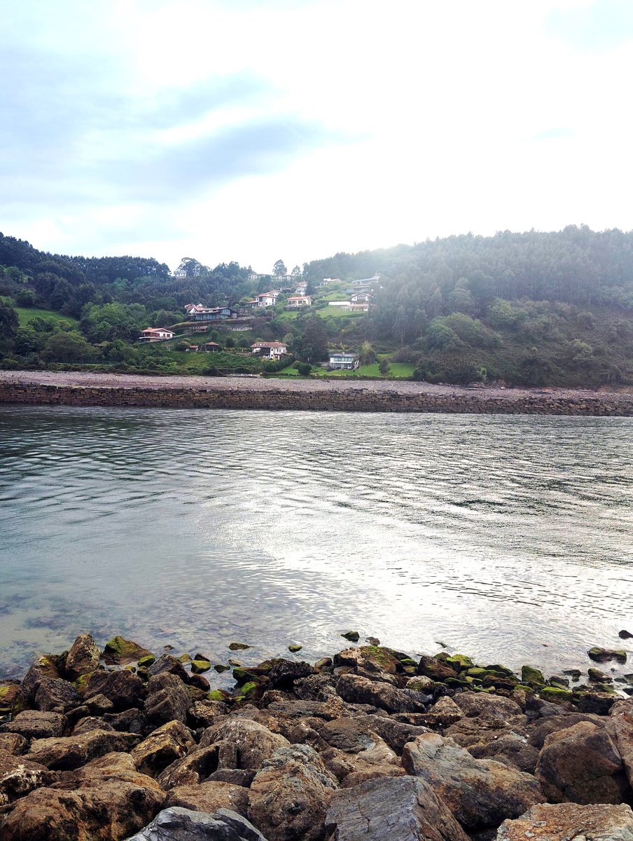 noeliaSolla's tweet photo. “Queda prohibido no sonreír ante los problemas, no luchar por lo que quieres, abandonarlo todo por miedo, no convertir en realidad tus sueños”.
Lo dijo Pablo Neruda 😊
📷#Rodiles, #Asturias 💚 https://t.co/pdAVTjrpuj