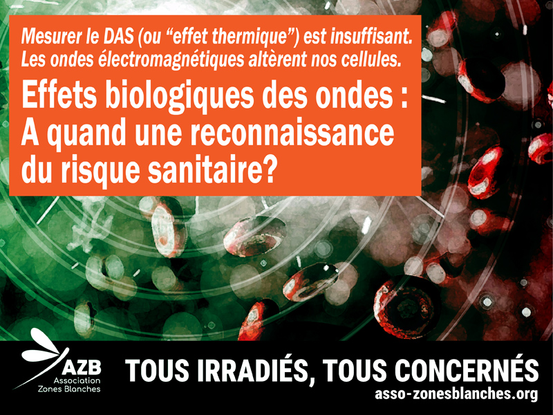 AZB_ehs_mcs's tweet image. EFFFETS BIOLOGIQUES DES ONDES : A QUAND UNE RECONNAISSANCE DU RISQUE SANITAIRE ?

Nos visuels ici  :
asso-zonesblanches.org/visuels-dinfor…
-
#Electrosmog #Ondes #AntennesRelais #Stop5g #OndesElectromagnétiques  #Santé #Antennes #Prévention #RFwaves #wifi #smartphones #safeconnections