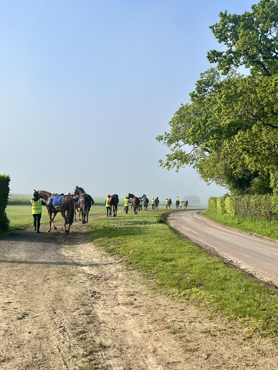 Lovely view from the office this morning. Chill out time eating grass under the sun and relaxed walk home in hand. Is summer around the corner? 🌞