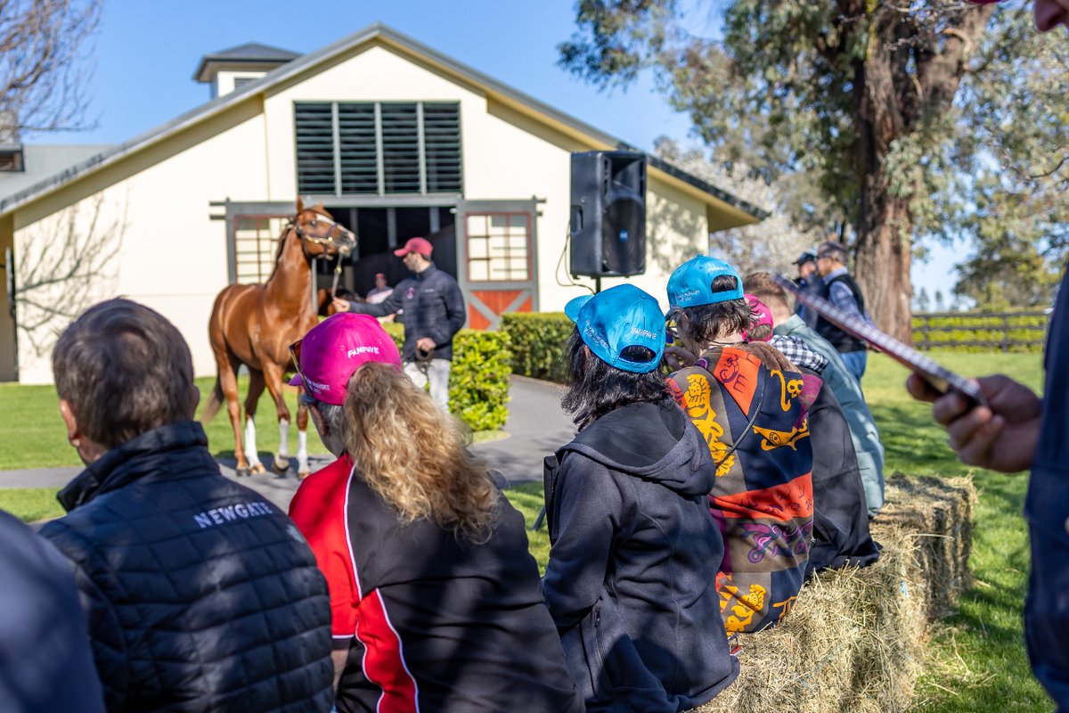 Our next owners weekend is fast approaching! 🌟 Tickets are limited so make sure to get them quick!  You won’t want to miss out on this awesome weekend! 🙌 Contact our team if you need more information!  📧 support@mirunners.com #lifesbetterwitharacehorse  #racingaustralia