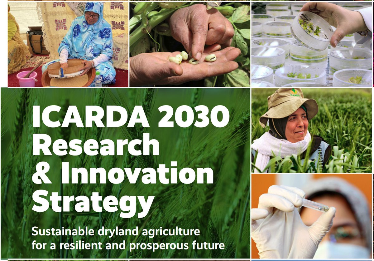 ✨STAYING AHEAD OF CLIMATE CHANGE✨ ICARDA's partner-led 2030 Research & Innovation Strategy is live!🌍 Amidst the climate emergency, we're committed to empowering dryland communities with science-driven solutions. Join us in pioneering a resilient future! icarda.org/media/news/ica…