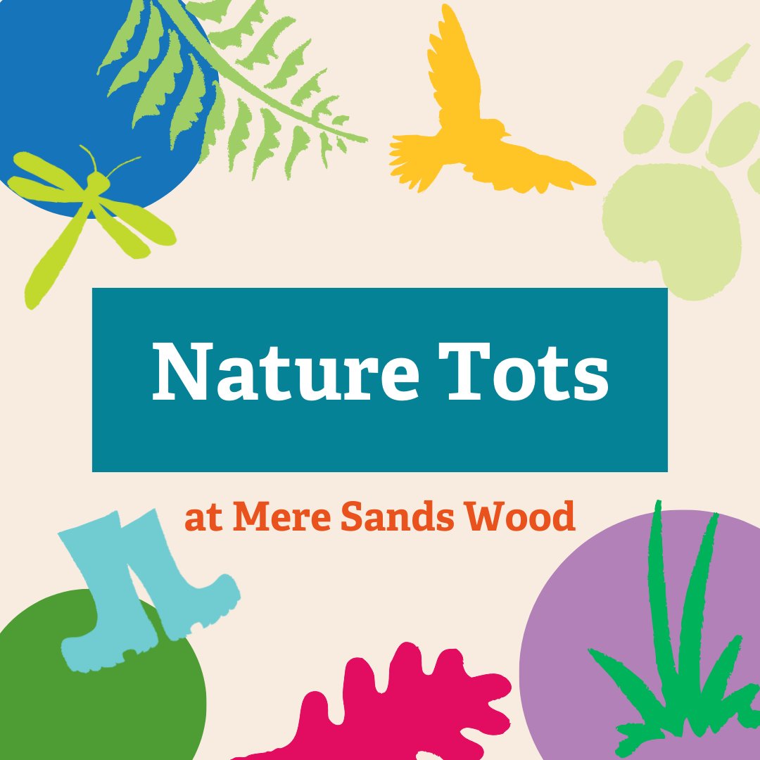 Nature Tots at Mere Sands Wood 🌿 Bring your toddlers and tiny ones along to our pre-school sessions, running every Monday during Lancashire School Term time. 📅 Monday 13 May 🕤 9:30am - 10:45am 🎟️ Booking and details: bit.ly/44x945i