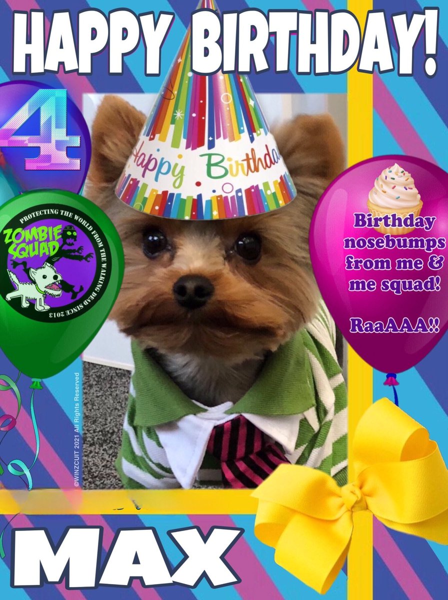 🎂Wishing a 🎁HAPPY 4th BIRTHDAY🎉 to our pawsome pal, MAX (MAXIMUS) from Leada Lord Billy & your ZombieSquad pals. We hope your special day is full of tasty treats, belly rubs & cayke, soldyer. RaaAAA!! ❤️💛🎂🎁🎈🎉 @TobyBert1 @ZSBirthday #ZSHQ