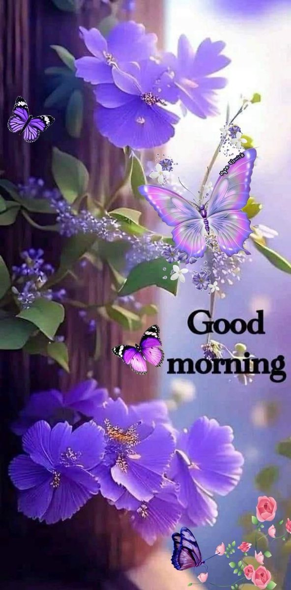 zOnni_wriTes tweet media