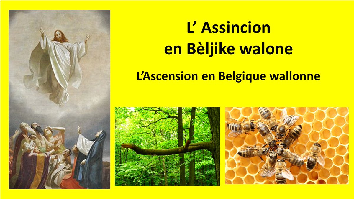 🌞L' Assincion en Bèljike walone, picarde, gaumèse / L'Ascension en Belgique wallonne, picarde, gaumaise (55 p.) : beljike.be/beljike-langue…