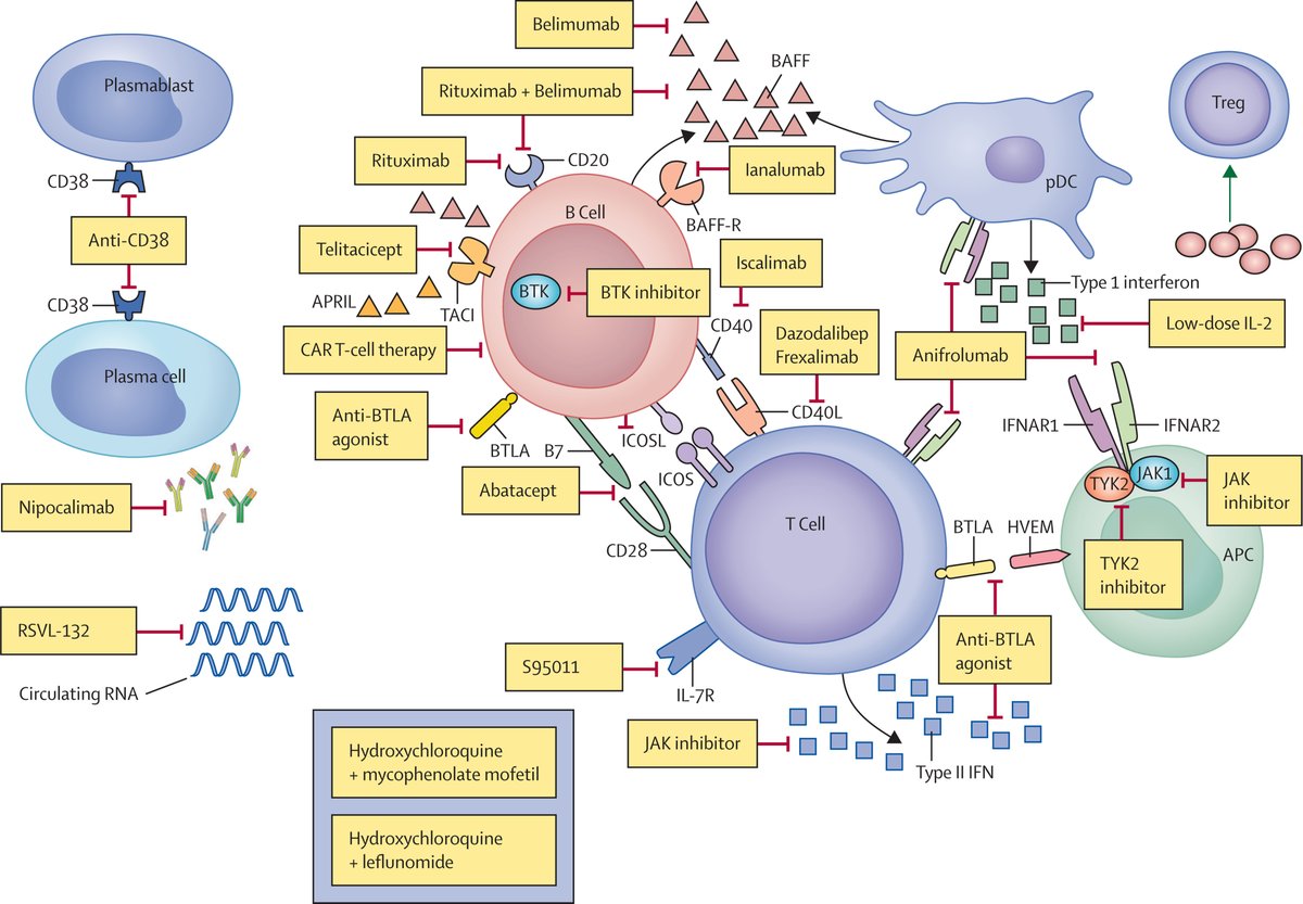 Sjögren's disease is one of the most common rheumatic diseases, with no approved therapies. 

In a new Review authors discuss how precision medicine may revolutionise the diagnosis, prognosis, and treatment of Sjögren's disease 👉hubs.li/Q02wl7dt0