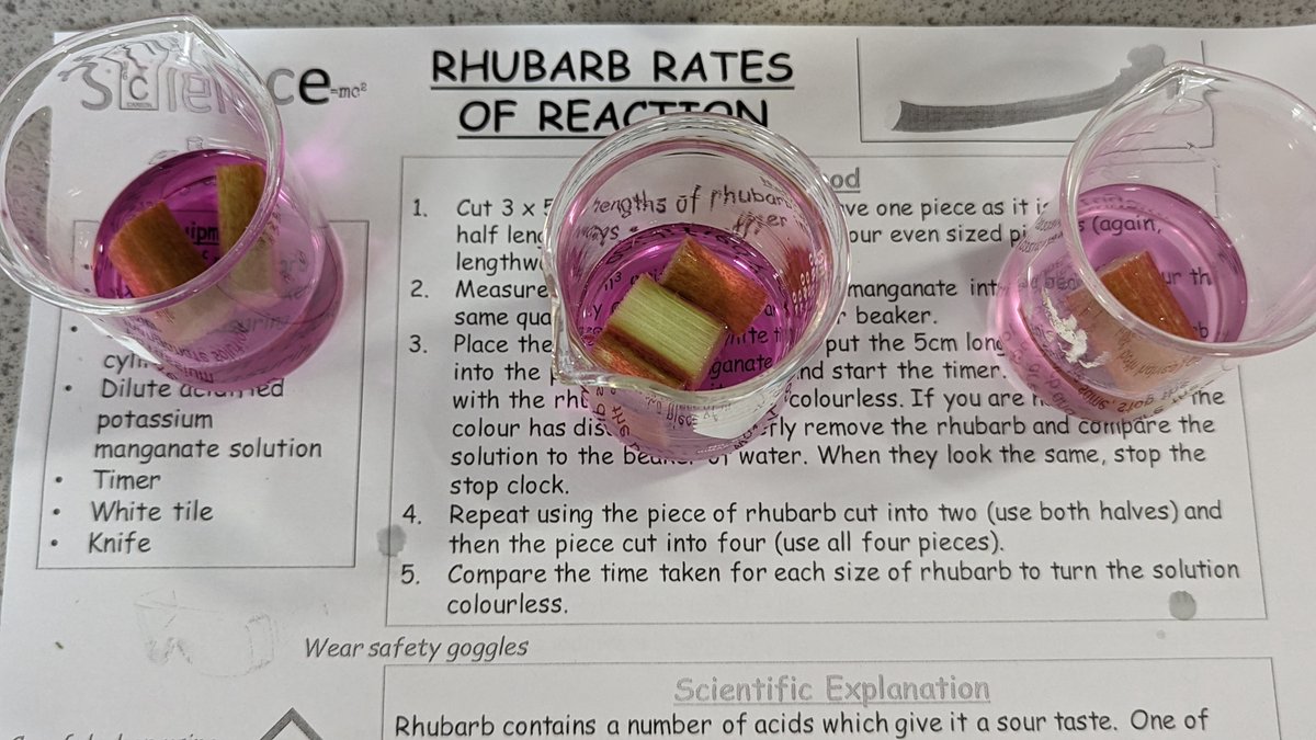 Elfed Science Department (@elfedscience) on Twitter photo Excellent measuring and observation skills during #ScienceClub yesterday <a href="/ElfedHS/">Elfed High School</a> measuring rates of reaction of Rhubarb! #STEM #KS3 #Science #Investigation #YoungScientists Excellent measuring and observation skills during #ScienceClub yesterday <a href="/ElfedHS/">Elfed High School</a> measuring rates of reaction of Rhubarb! #STEM #KS3 #Science #Investigation #YoungScientists