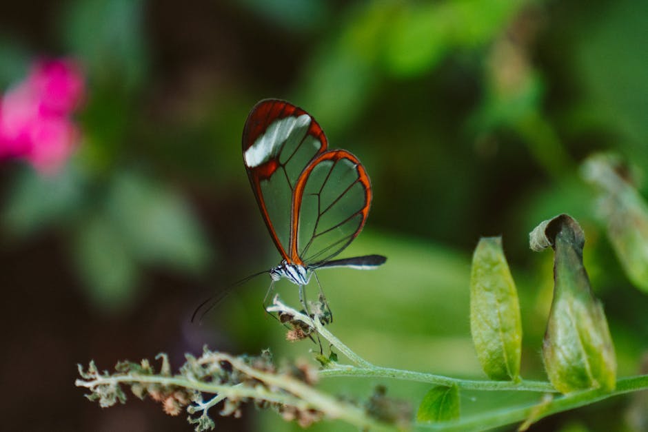 🌳Apply by 31 May to be recognised as UN World Restoration Flagship

The 2024 call under the #UN Decade on #EcosystemRestoration is now open, looking for the world’s most ambitious, promising or successful examples of large-scale #ecosystem #restoration: ow.ly/fh1050RA3wI