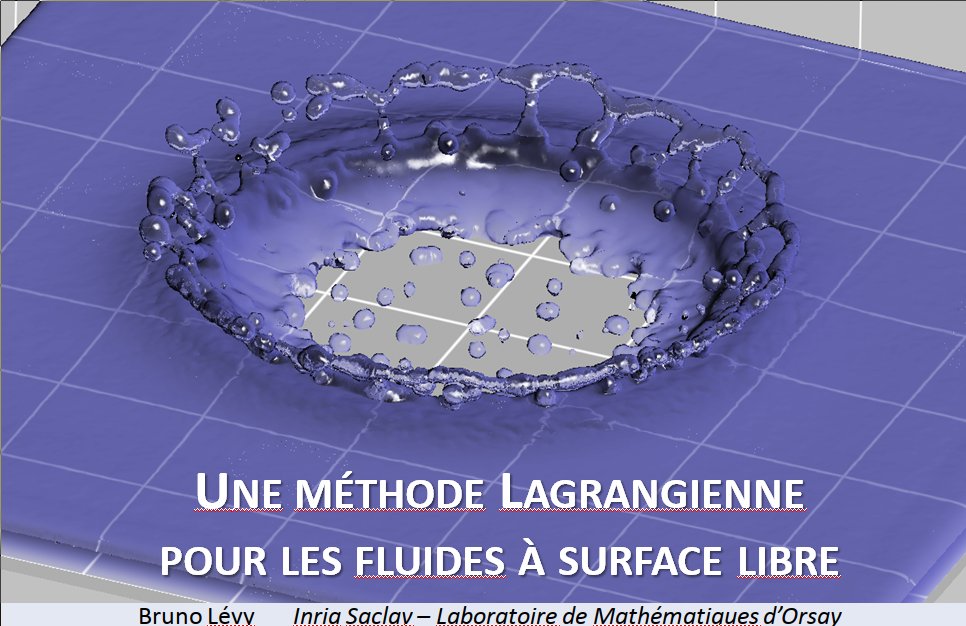 Next Wednesday (05/15), giving a 'Shapes seminar' on free-surface Gallouet-Merigot fluid simulation. Thank you very much @FeydyJean for the invitation ! More informations here: shape-analysis.github.io