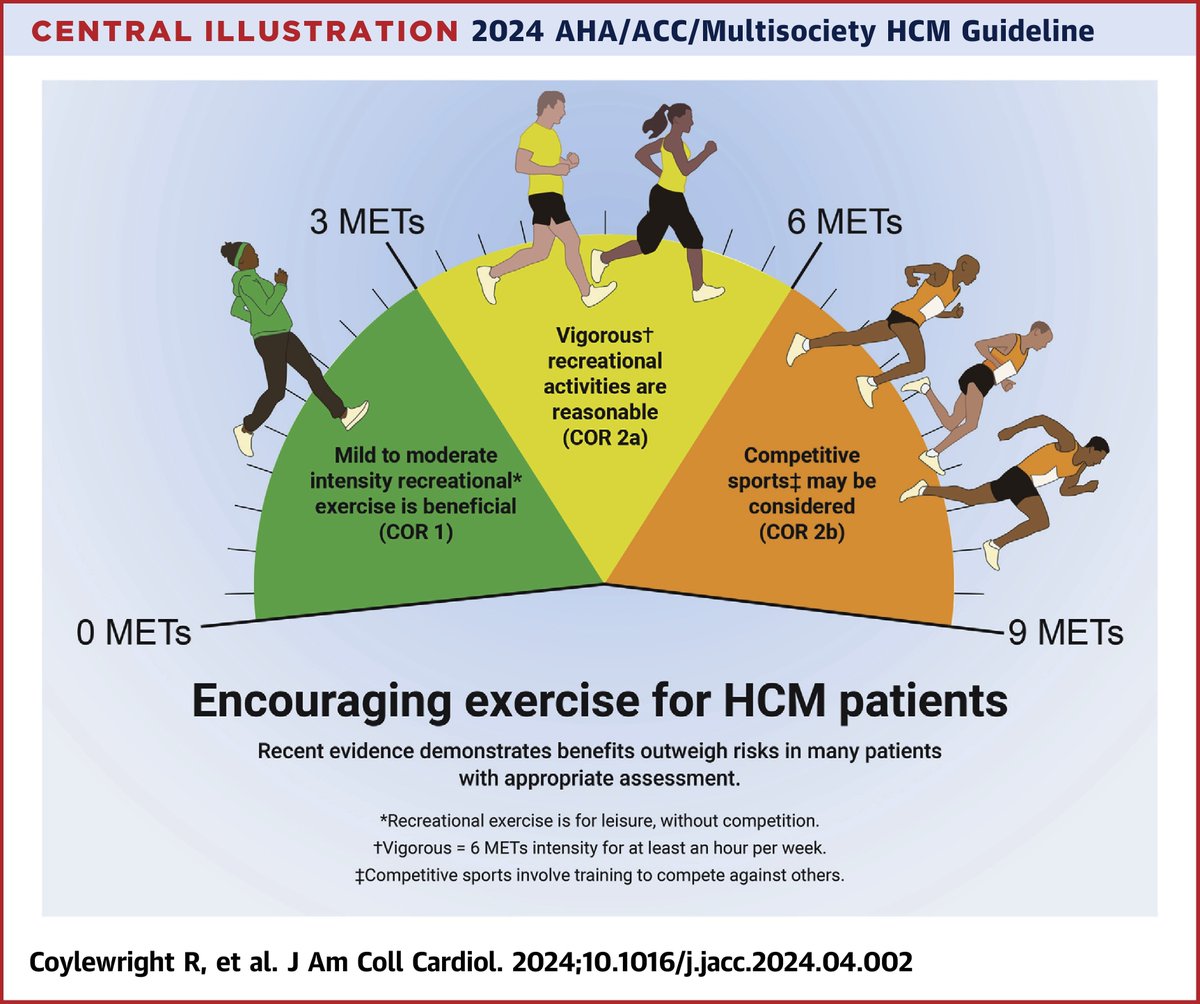 2024 hypertrophic cardiomyopathy guideline-at-a-glance jacc.org/doi/10.1016/j.… #HCM #cardiotwitter via @JACCJournals