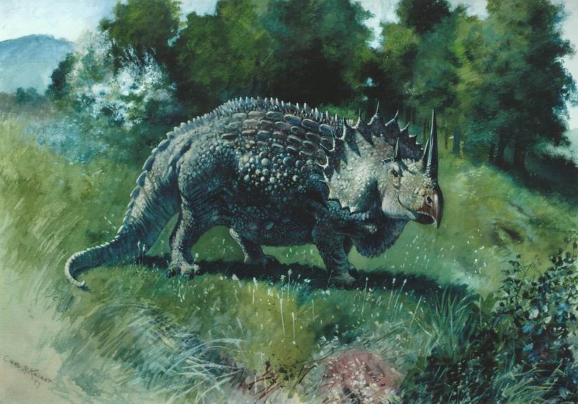 Behold Agathaumas Sylvestris, the coolest dinosaur that never existed #dinosaur #paleoart #prehistoric #Paleontology