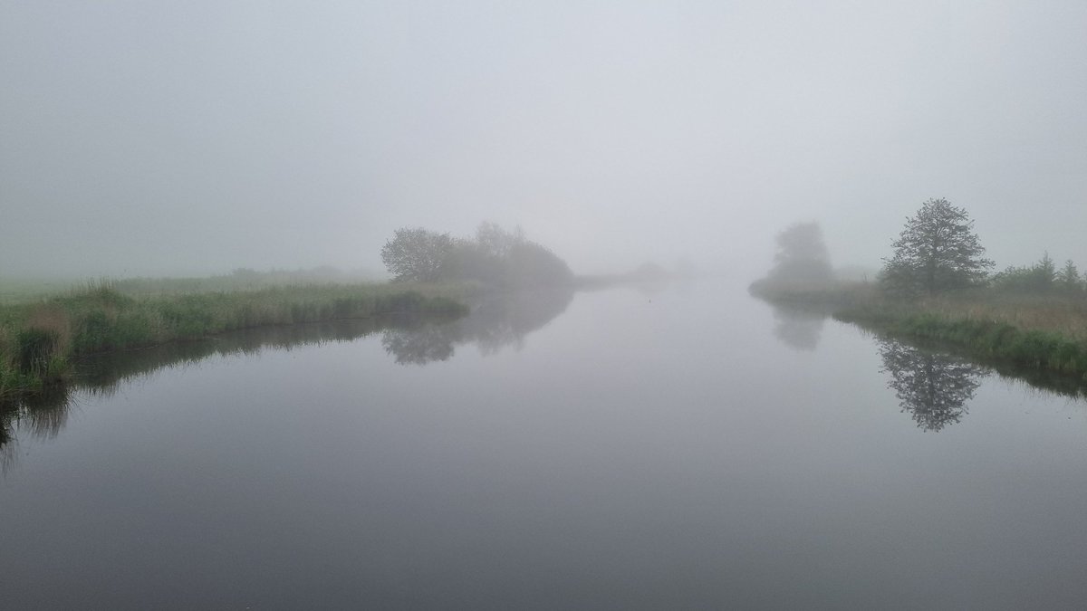 PeterMeranti's tweet image. 