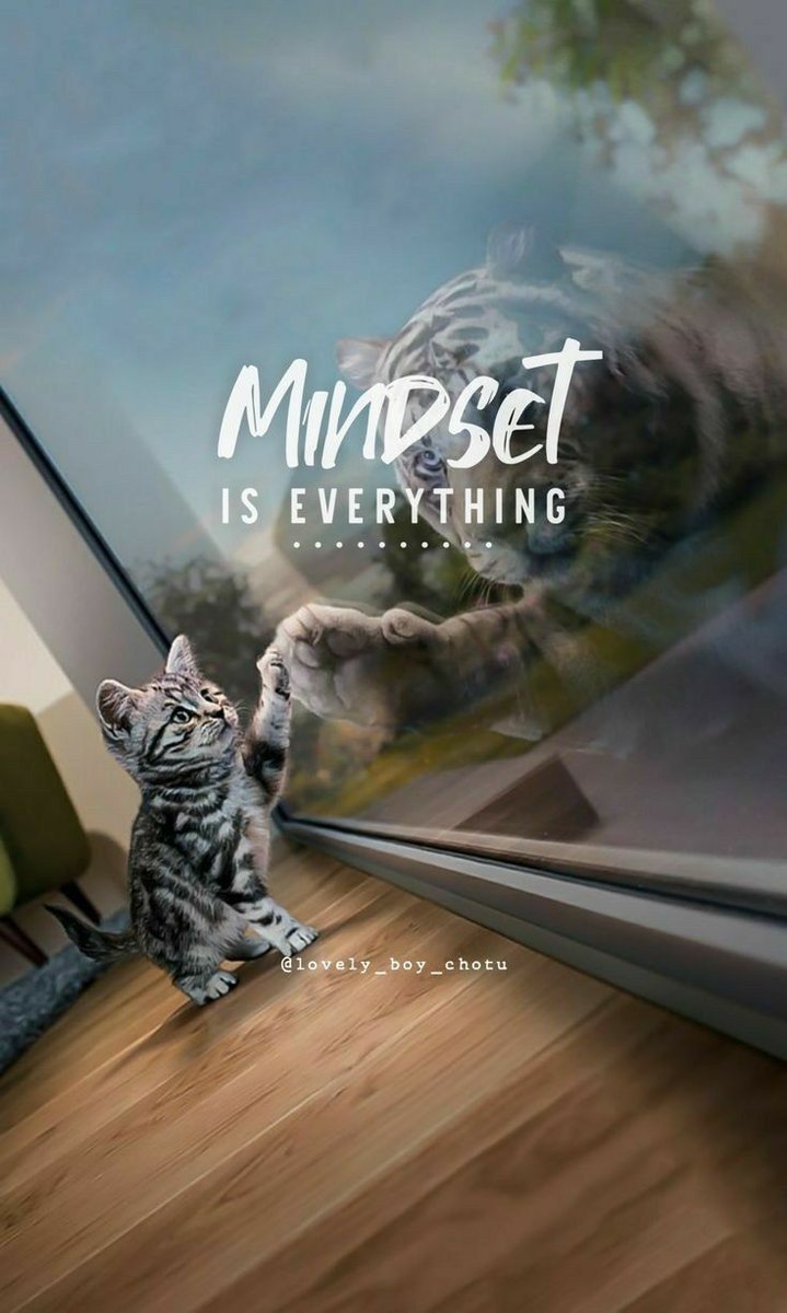 A positive mindset is the foundation of a happy and fulfilling life.
The only limits you have are the ones you place on yourself.🤍💫✨
Expand your mindset and achieve greatness, Build yours today! ✌🏻

#MindsetMatters #limitless #positivity #happiness