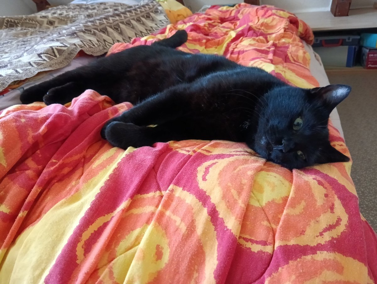 Iespējams ta ir visiem. Kad no rita esi jau pamodies, bet celties ir slinkums. Un guli ar  vaļā acim. Ņau!