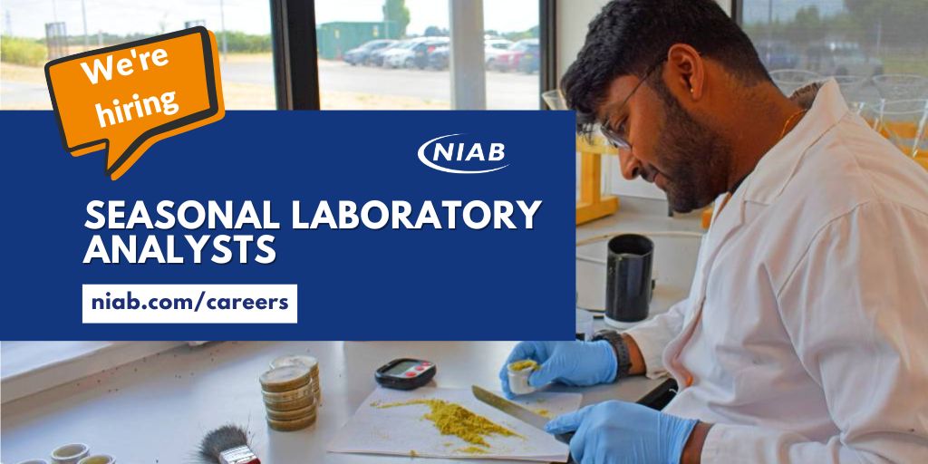 Join #NIAB this summer working in our busy grain quality testing laboratory. You'll assist the laboratory in delivering grain and produce quality data from national field trials across a wide range of crop species. Full info and apply ➡️ ow.ly/kINl50RzylL #Vacancy